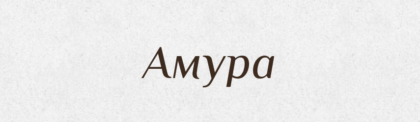Амура — Фразеологічний словник української мови