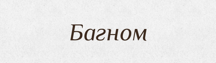 Багном — Фразеологічний словник української мови