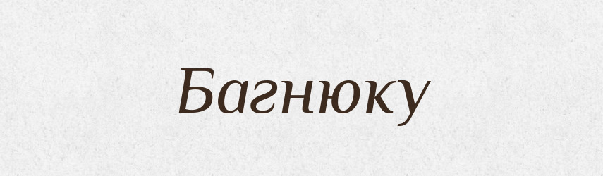 Багнюку — Фразеологічний словник української мови