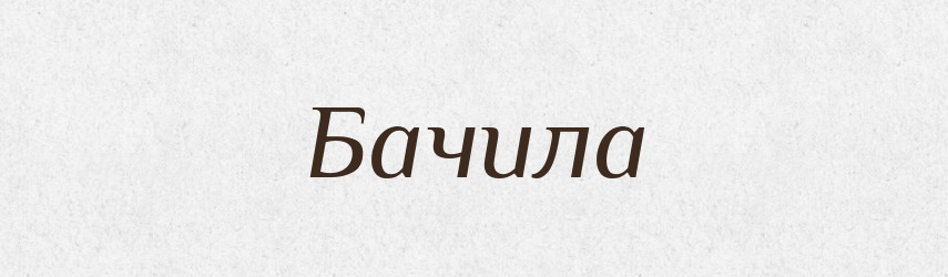 Бачила — Фразеологічний словник української мови