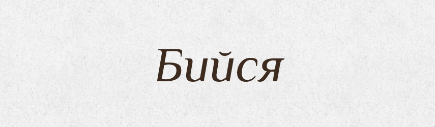 Бийся — Фразеологічний словник української мови