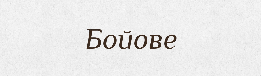 Бойове — Фразеологічний словник української мови