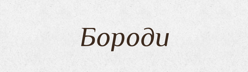 Бороди — Фразеологічний словник української мови
