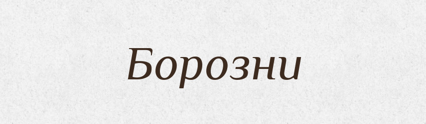 Борозни — Фразеологічний словник української мови