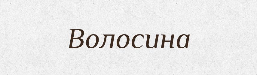 Волосина — Фразеологічний словник української мови