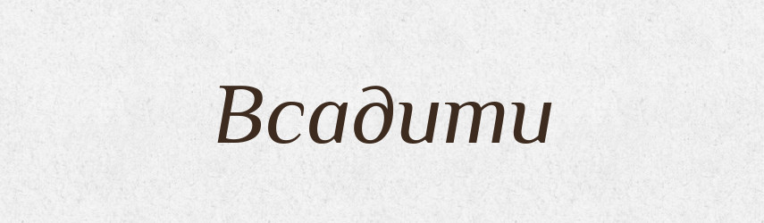 Всадити — Фразеологічний словник української мови