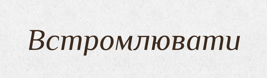 Встромлювати — Фразеологічний словник української мови