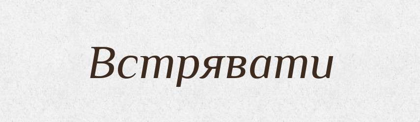 Встрявати — Фразеологічний словник української мови