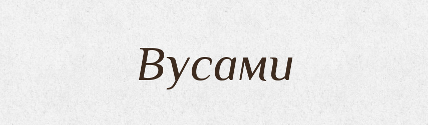 Вусами — Фразеологічний словник української мови