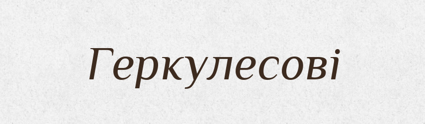 Геркулесові — Фразеологічний словник української мови
