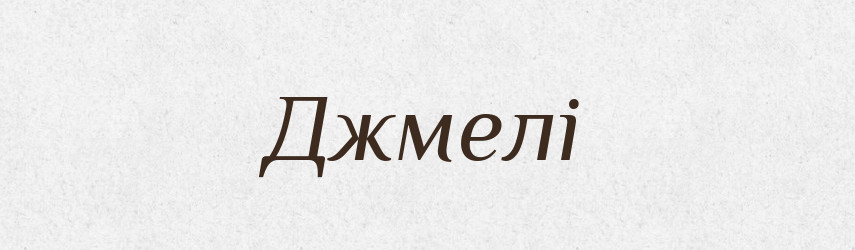Джмелі — Фразеологічний словник української мови