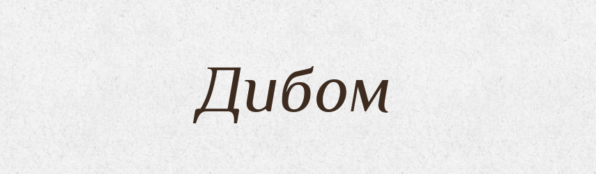Дибом — Фразеологічний словник української мови