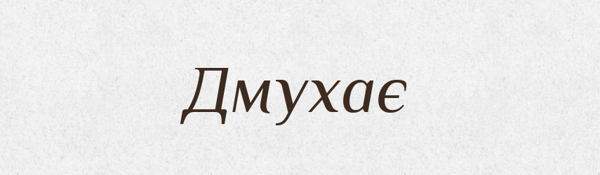 Дмухає — Фразеологічний словник української мови