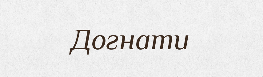 Догнати — Фразеологічний словник української мови