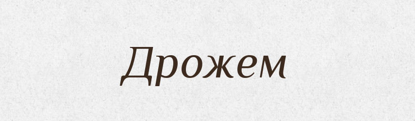 Дрожем — Фразеологічний словник української мови