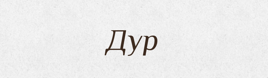 Дур — Фразеологічний словник української мови
