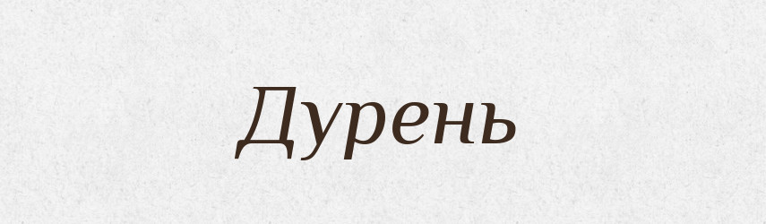 Дурень — Фразеологічний словник української мови