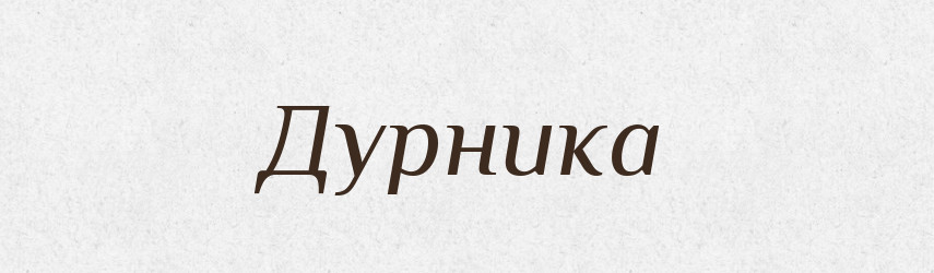 Дурника — Фразеологічний словник української мови