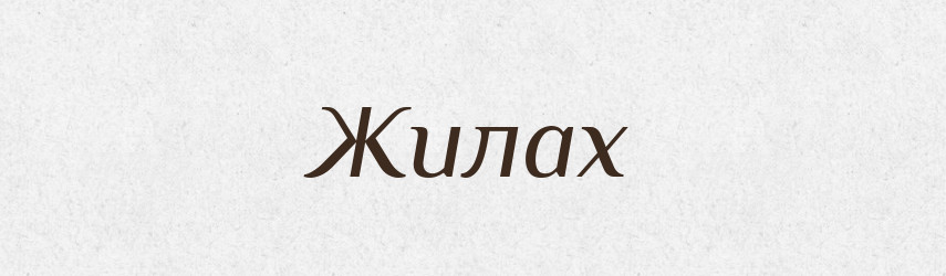 Жилах — Фразеологічний словник української мови