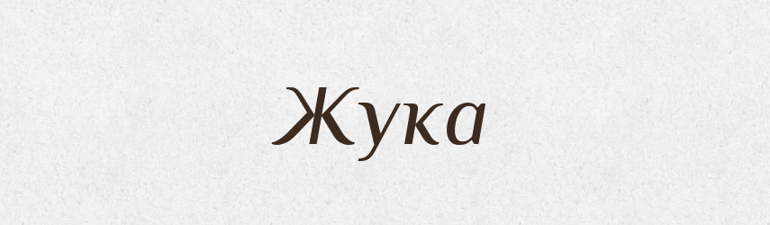 Жука — Фразеологічний словник української мови