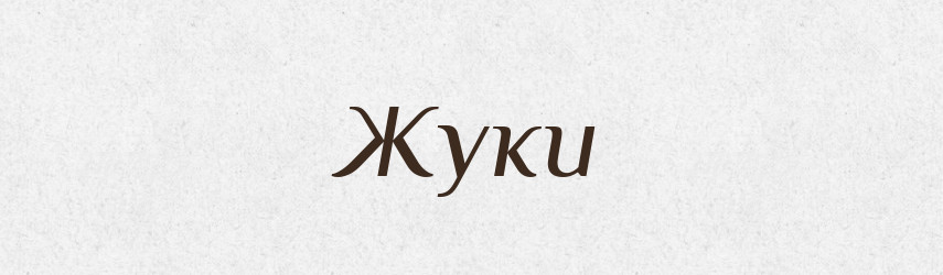 Жуки — Фразеологічний словник української мови