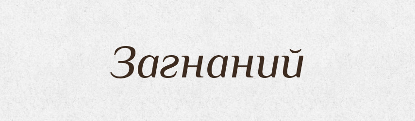 Загнаний — Фразеологічний словник української мови
