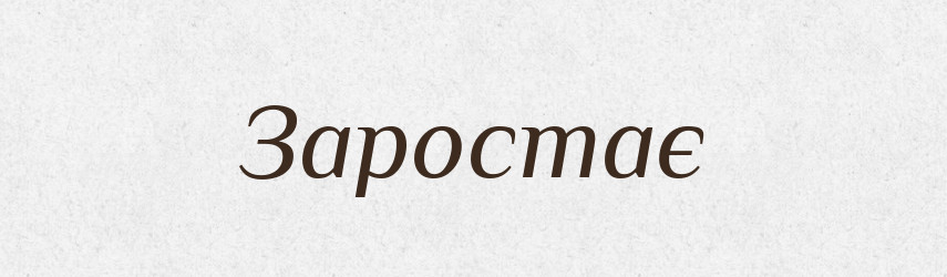Заростає — Фразеологічний словник української мови