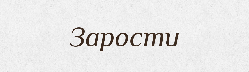 Зарости — Фразеологічний словник української мови