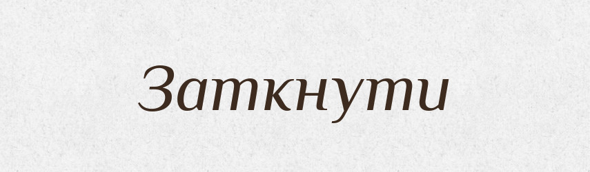 Заткнути — Фразеологічний словник української мови