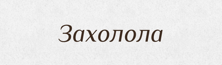 Захолола — Фразеологічний словник української мови