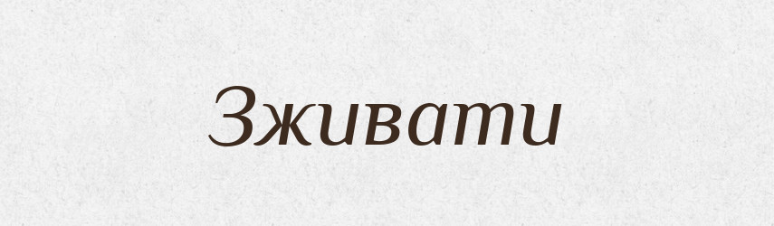 Зживати — Фразеологічний словник української мови