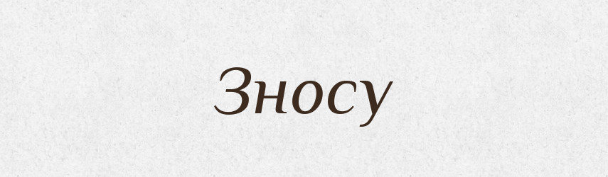 Зносу — Фразеологічний словник української мови