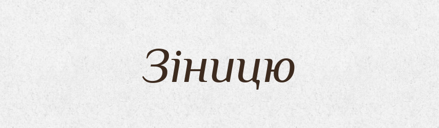 Зіницю — Фразеологічний словник української мови