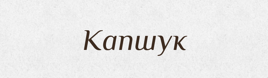 Капшук — Фразеологічний словник української мови