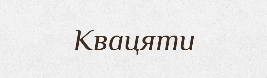 Квацяти — Фразеологічний словник української мови