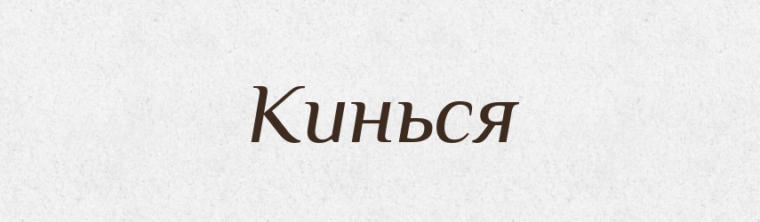 Кинься — Фразеологічний словник української мови