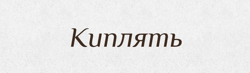 Киплять — Фразеологічний словник української мови