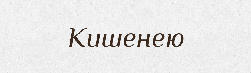 Кишенею — Фразеологічний словник української мови