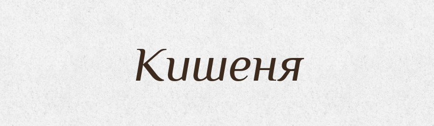 Кишеня — Фразеологічний словник української мови