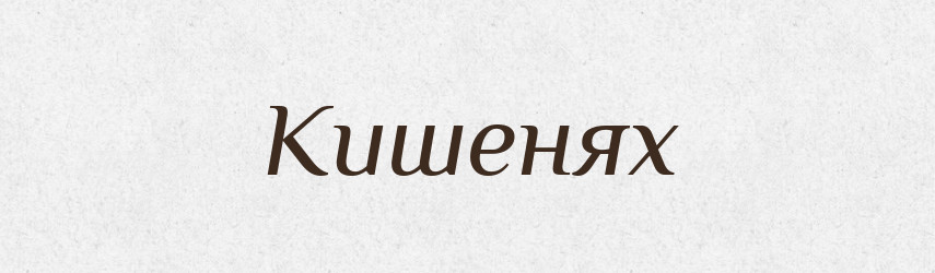 Кишенях — Фразеологічний словник української мови