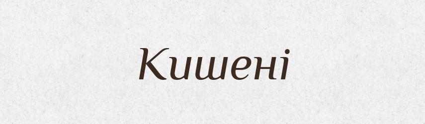Кишені — Фразеологічний словник української мови