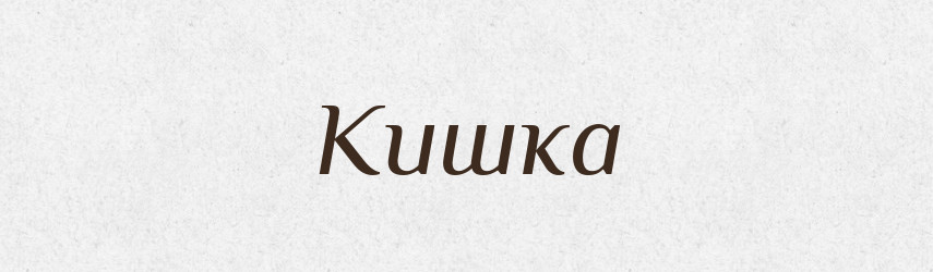 Кишка — Фразеологічний словник української мови