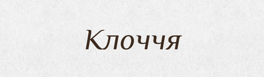 Клоччя — Фразеологічний словник української мови