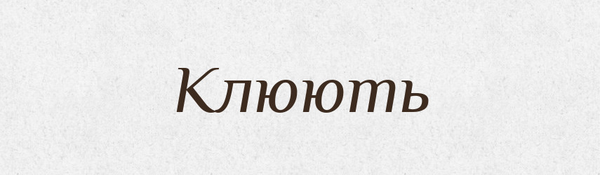 Клюють — Фразеологічний словник української мови