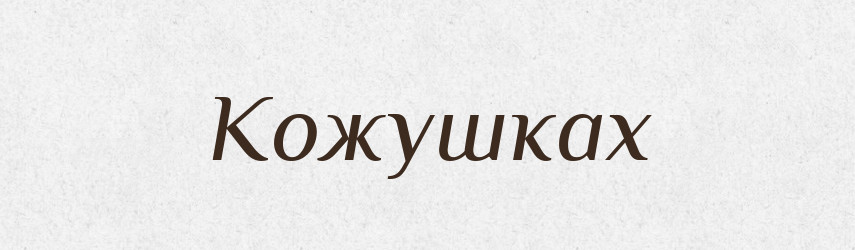 Кожушках — Фразеологічний словник української мови
