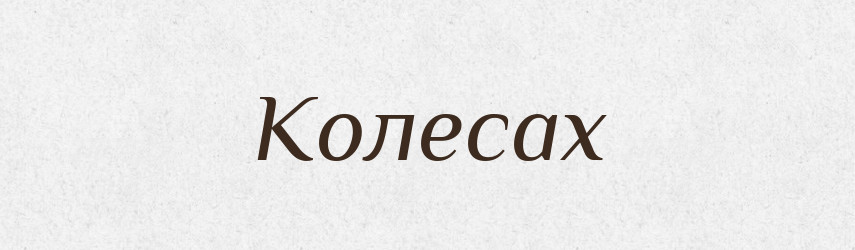 Колесах — Фразеологічний словник української мови