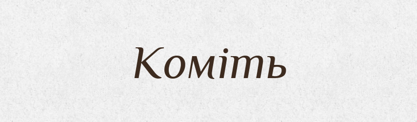 Коміть — Фразеологічний словник української мови