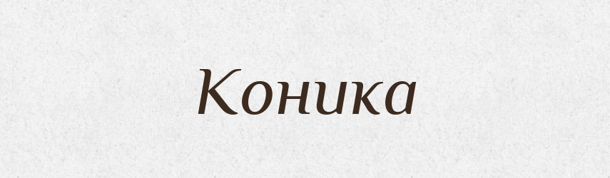 Коника — Фразеологічний словник української мови