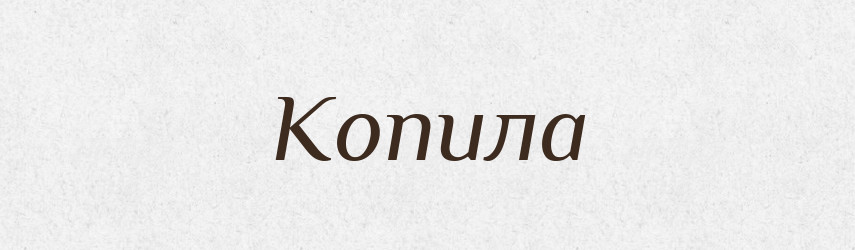 Копила — Фразеологічний словник української мови