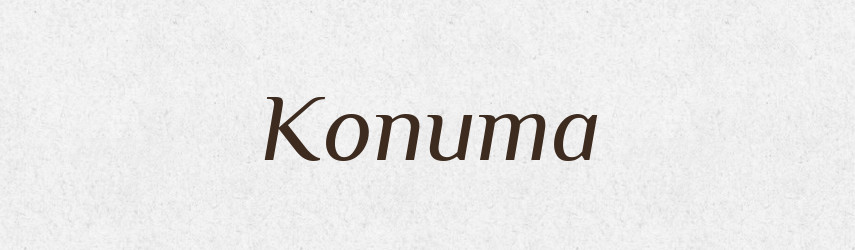 Копита — Фразеологічний словник української мови